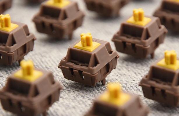 [In-stock] Torrero Switch
